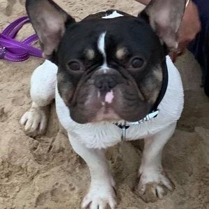 Meet your Posher, Katherine